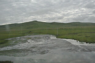 雨中草原上的泥泞道路