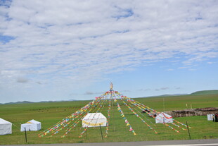 草原上的特色帐篷景观