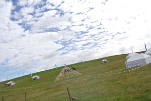 草原上的帐篷与羊群