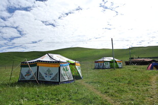 草原上的露营帐篷