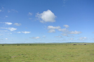 广阔草原与蓝天