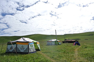 草原上的多彩露营帐篷