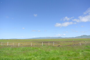 草原风光 围栏点缀绿意