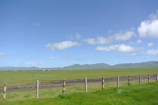 草原围栏边的晴朗风光