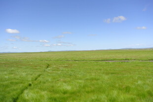 广袤草原蓝天美景