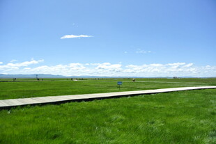 草原上的平坦道路