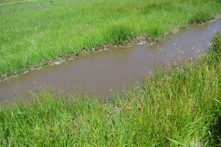 田野中的潺潺小溪