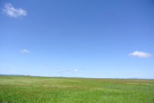 广袤草原蓝天美景