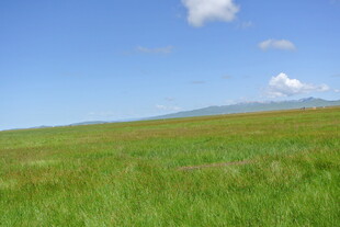 广袤草原 蓝天白云美景