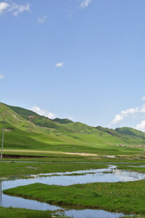 草原湿地风光美景