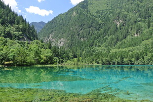 九寨沟清澈碧绿的山水