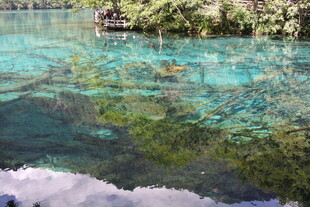 清澈见底的美丽水下景观