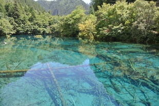 清澈碧绿的山间幽美水域