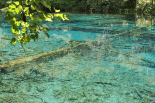 清澈见底的幽蓝水域