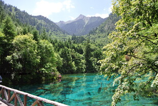 梦幻蓝湖之山林美景