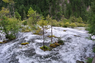 山间湍急溪流与葱郁树木