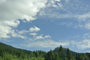 蓝天白云下的山林美景