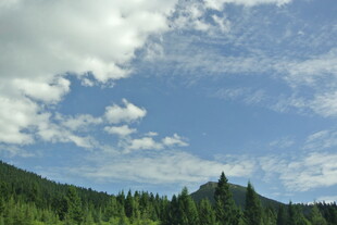 蓝天白云下的葱郁山林