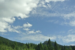 蓝天白云下的葱郁山林