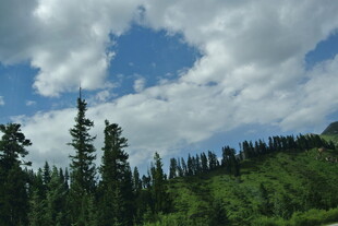 蓝天白云下的葱郁山林