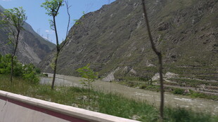 山间路旁绿意初显景色