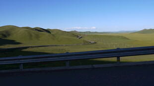 公路旁的广袤绿色原野