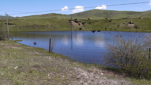 乡村宁静湖泊风景