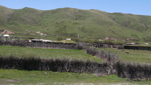 乡村山野间的宁静景致
