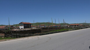 乡村公路旁的民居风景