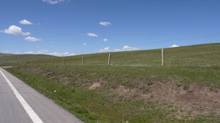 公路旁的开阔绿色原野