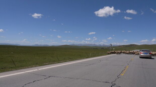 公路伸向草原蓝天