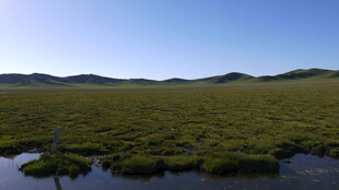 广袤草原上的宁静水域