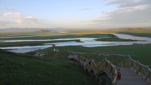 草原木栈道旁的蜿蜒河流
