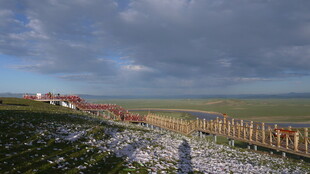 草原风光与木栅栏美景