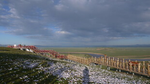 草原围栏边的开阔风景