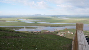 草原湿地风光美景