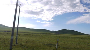 草原风光 蓝天白云绿地