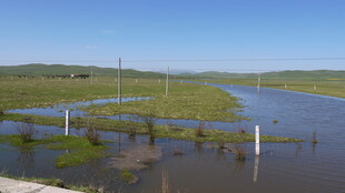 洪水淹没的乡村田野