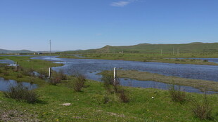 草原上的宁静湖泊