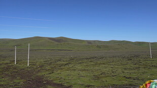 草原风光中的电线杆