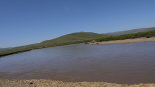 宁静湖畔的开阔自然风光