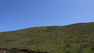 翠绿山坡 蓝天背景美景