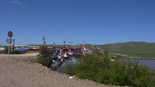 草原河畔的多彩车辆场景