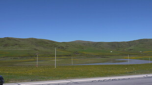 草原公路旁的开阔风景