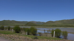 河畔风光 宁静自然景致