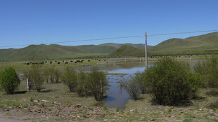 山间溪流旁的自然景致