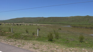 乡村旷野风景图