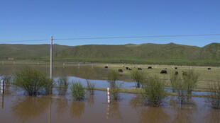 洪水淹没乡村景象