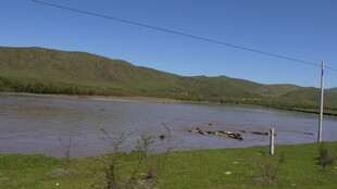 广阔水域旁的绿色原野