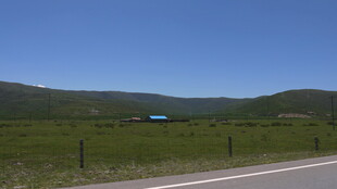 公路旁的开阔绿野风光